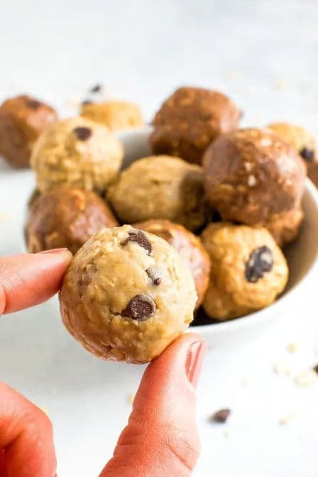Protein Snack Bites (3)